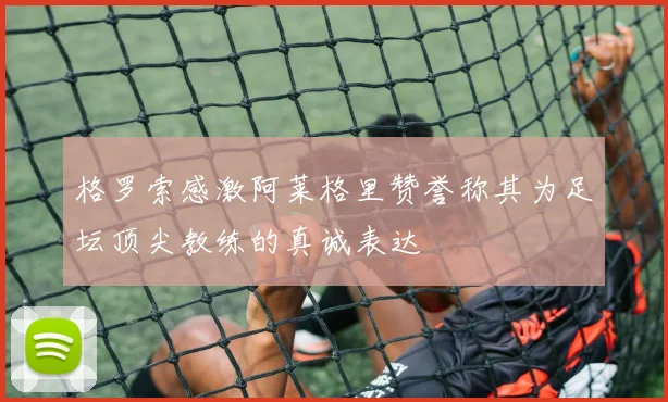 格罗索感激阿莱格里赞誉称其为足坛顶尖教练的真诚表达