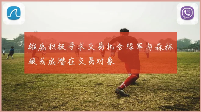 雄鹿积极寻求交易机会绿军与森林狼或成潜在交易对象