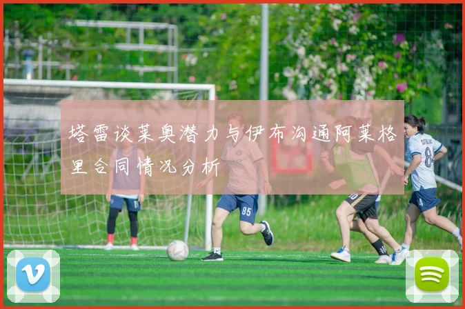 塔雷谈莱奥潜力与伊布沟通阿莱格里合同情况分析