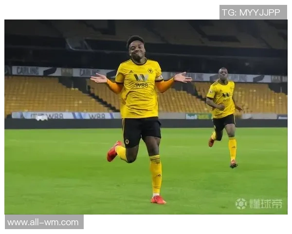 狼队重燃旧情考虑加里奥尼尔前主帅仍受俱乐部高度评价